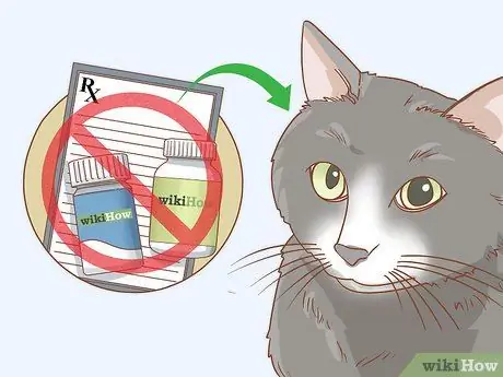 Лечить кошку анизокорией Шаг 9