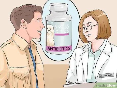 Удаление пятен от слез с кошек и собак Шаг 4