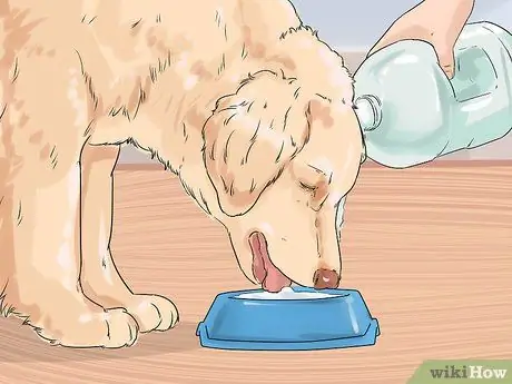 Удаление пятен от слез с кошек и собак Шаг 7