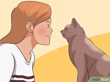 Диагностика состояний век у кошек Шаг 3