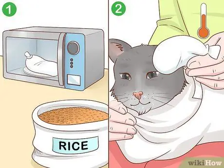 Подготовьте кошку к анализу крови Шаг 12