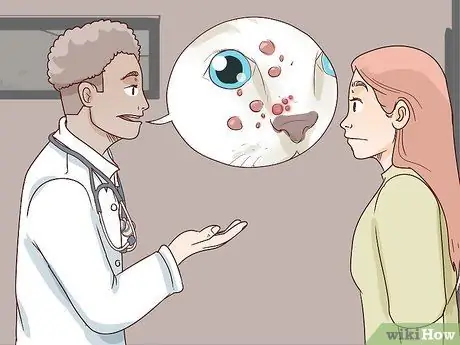 Как справиться с аутоиммунным кожным заболеванием у кошек Шаг 6