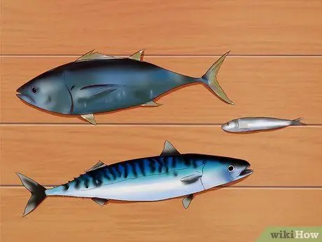 Вылечить кошку от запора Шаг 15