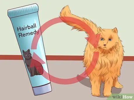 Вылечить кошку от запора Шаг 20