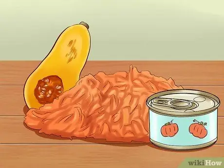 Вылечить кошку от запора Шаг 9