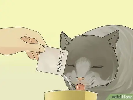 Лечить рвоту, сопровождающуюся диареей, у кошки Шаг 3