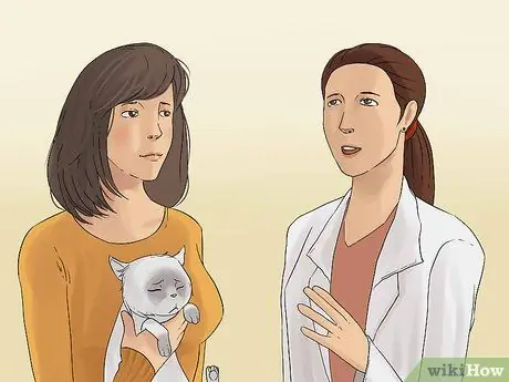 Лечить рвоту, сопровождающуюся диареей, у кошки Шаг 5