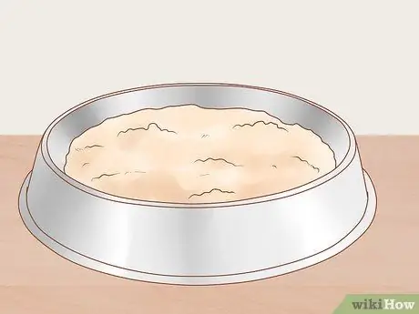 Помогите задыхающейся кошке Шаг 9