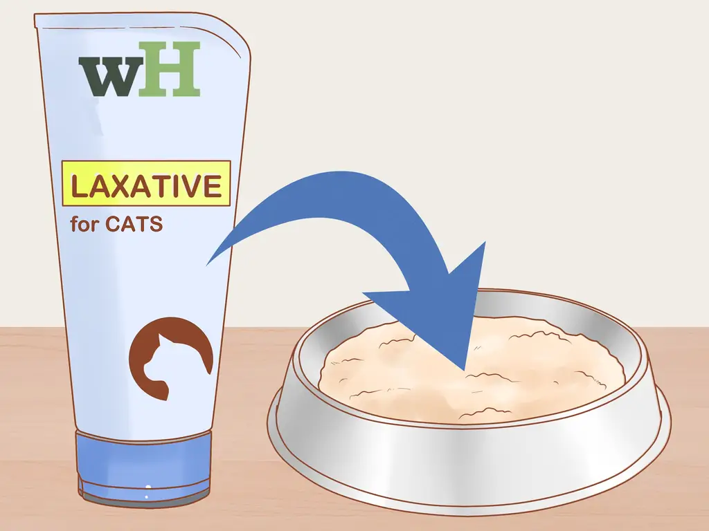 3 способа помочь захлебнувшейся кошке