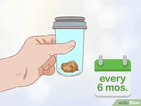 Сбор образцов кала у кошки Шаг 10