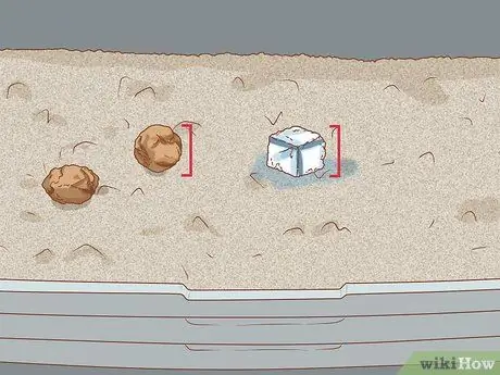 Сбор образцов кала у кошки Шаг 2