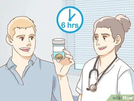 Сбор образцов кала у кошки Шаг 6