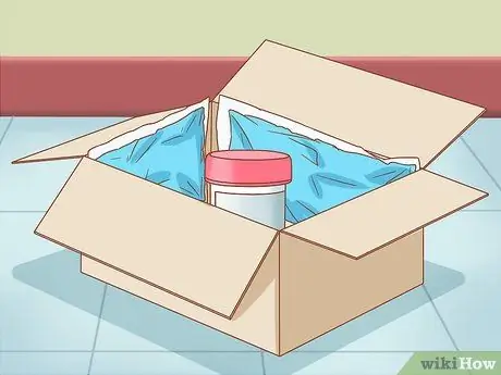 Сбор образцов фекалий у кошки Шаг 8