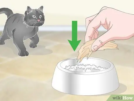 Помогите рвоте кошке Шаг 12