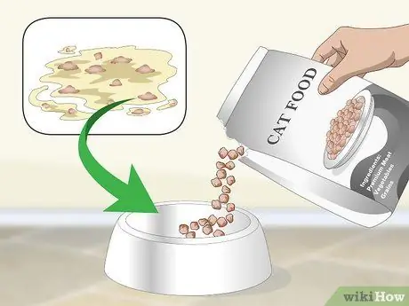 Помогите рвоте кошке Шаг 2