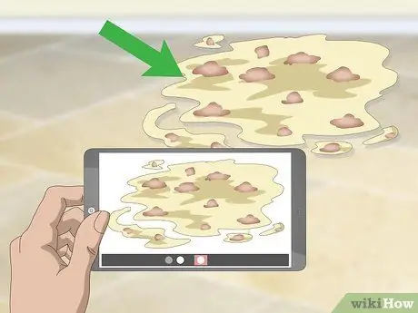 Помогите рвоте кошке Шаг 3