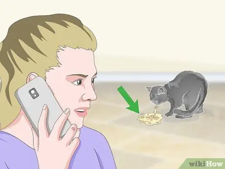 Помогите рвоте кошке Шаг 8