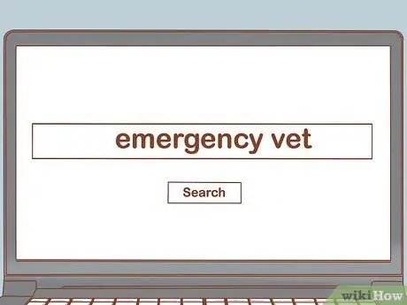 Лечить кошку кровью в стуле Шаг 6