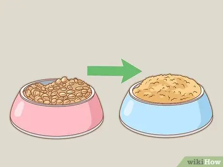 Лечить кошку кровью в стуле Шаг 8