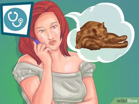 Не позволяйте кошкам прятаться по коврику Шаг 1