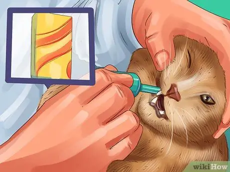 Не позволяйте кошкам прятаться по коврику Шаг 10