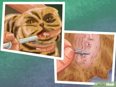 Не позволяйте кошкам прятаться по коврику Шаг 3