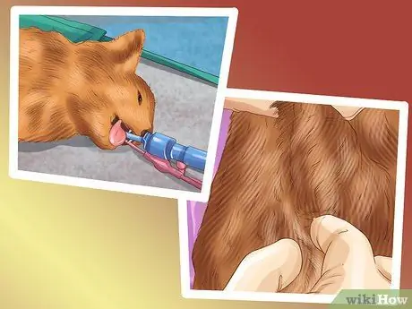 Не позволяйте кошкам прятаться по коврику Шаг 5