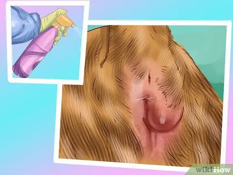 Не позволяйте кошкам прятаться по коврику Шаг 7