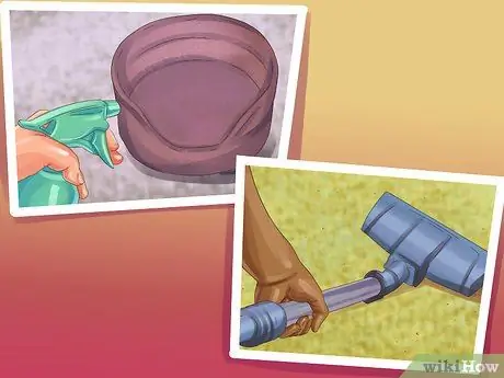 Не позволяйте кошкам прятаться по коврику Шаг 9