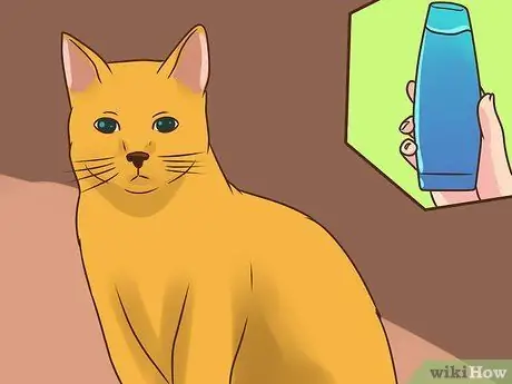 Лечить вшей у кошек Шаг 15