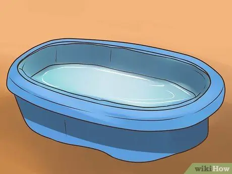 Лечить вшей у кошек Шаг 17