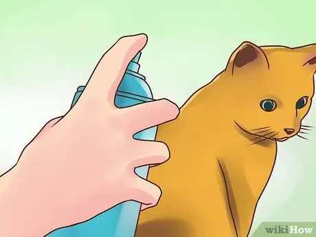 Лечить вшей у кошек Шаг 5