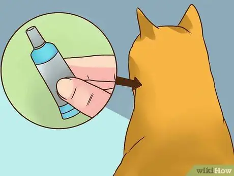 Лечить вшей у кошек Шаг 7