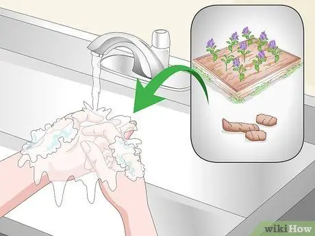 Устранение круглых червей у кошек Шаг 12