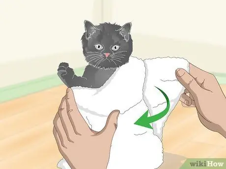 Устранение круглых червей у кошек Шаг 6