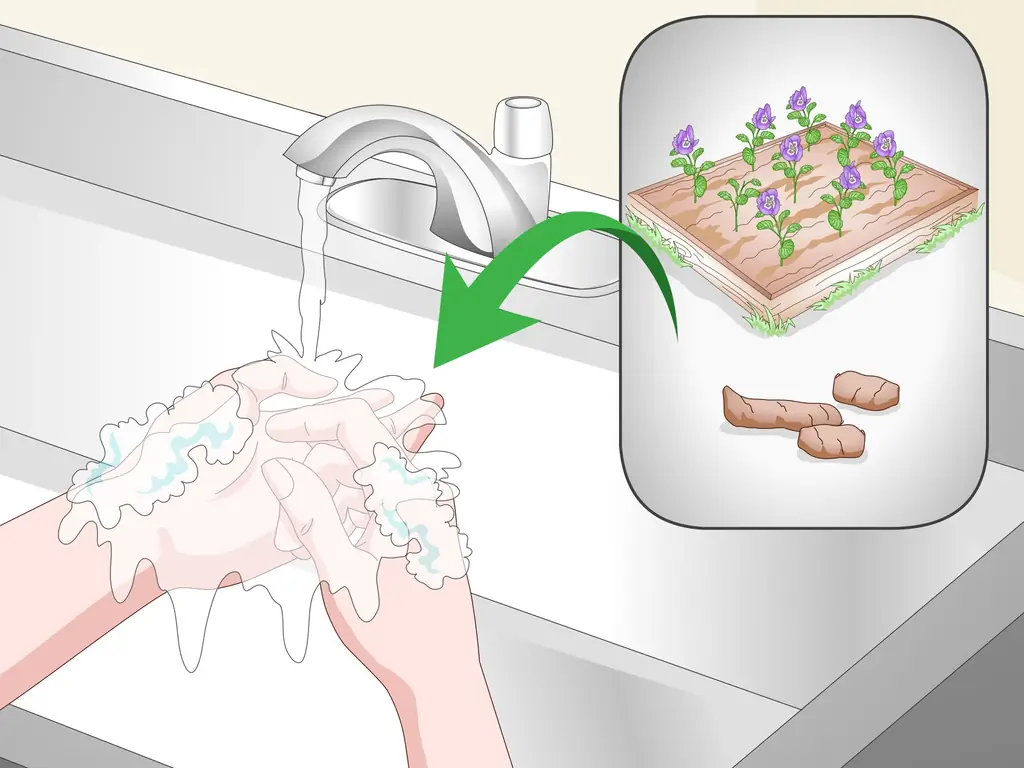 Как избавиться от круглых червей у кошек: 12 шагов (с иллюстрациями)