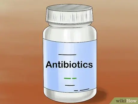 Избавиться от заражения кошачьими клещами Шаг 7