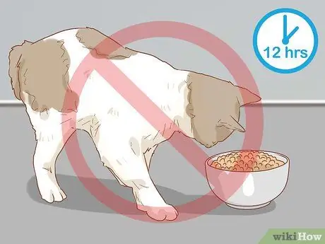 Лечить волчью пасть у кошек Шаг 10