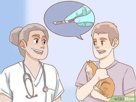 Лечить волчью пасть у кошек Шаг 2