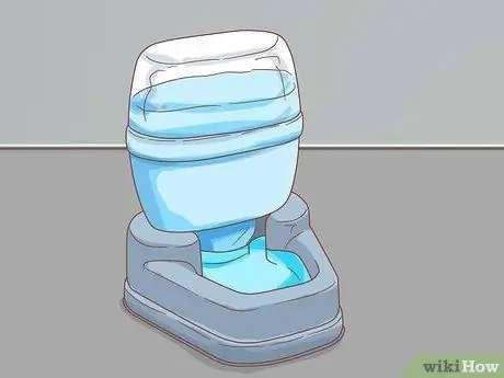 Лечить волчью пасть у кошек Шаг 8