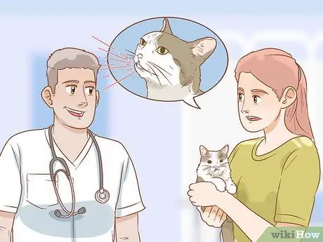 Лечить волчью пасть у кошек Шаг 9