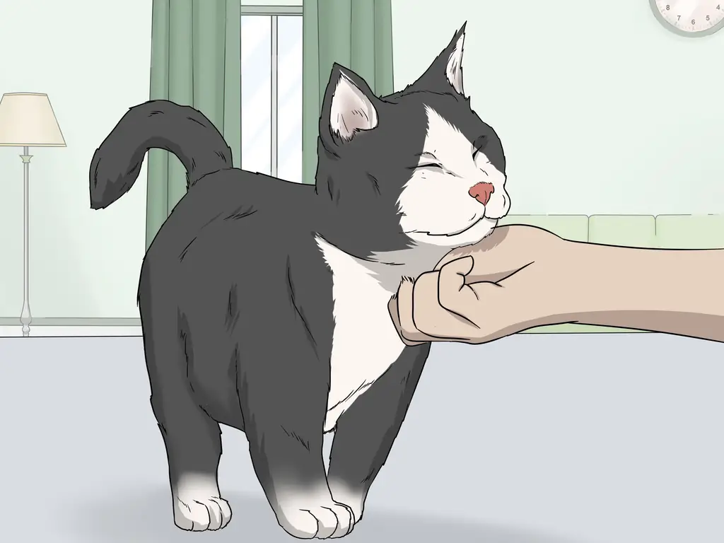 Как успокоить кошку с помощью массажа: 11 шагов (с иллюстрациями)