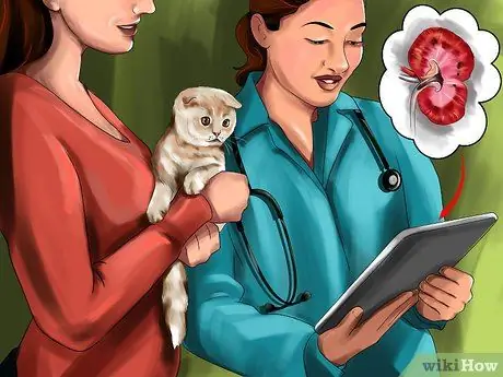 Добавка таурина для кошек Шаг 3