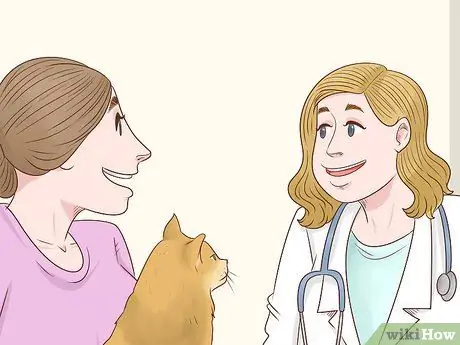 Дайте Атенолол кошкам с сердечными заболеваниями Шаг 2