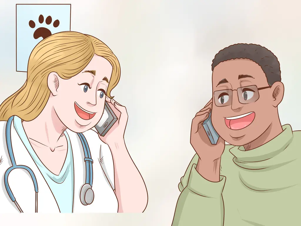 Как давать атенолол кошкам с сердечными заболеваниями: 10 шагов