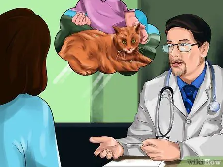 Лечите кошку иглоукалыванием Шаг 6