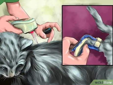 Лечить кошку иглоукалыванием Шаг 7