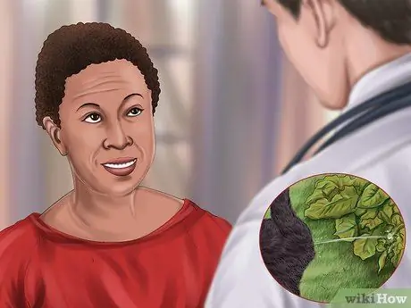 Лечить сезонную аллергию у кошек Шаг 12