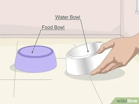 Купите необходимые припасы для вашего нового кота Шаг 5