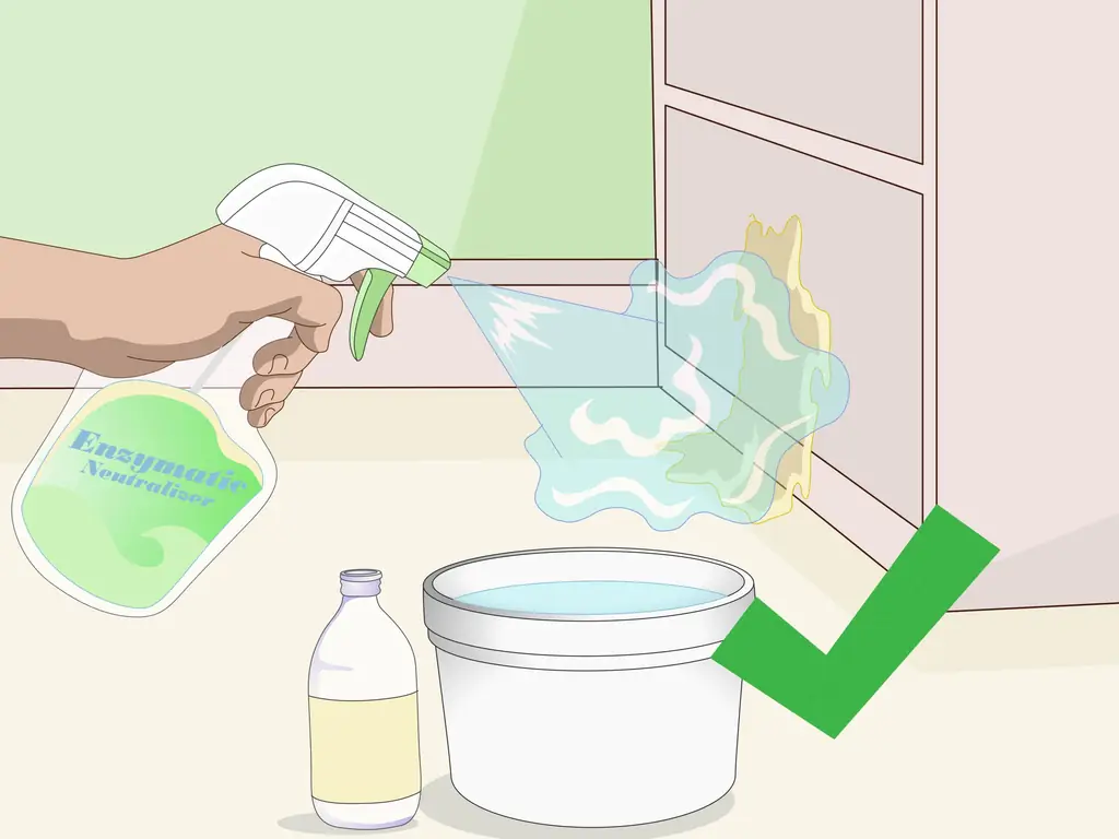 Как купить необходимые припасы для новой кошки: 12 шагов